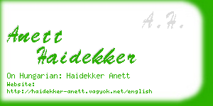 anett haidekker business card